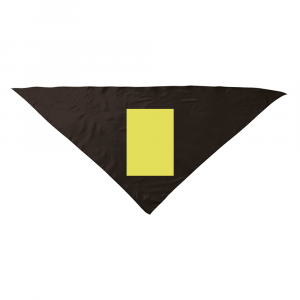 Area de Marcaje Pañuelo